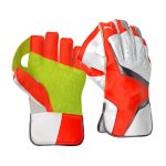 Wicket Keeping Gloves