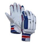 Batting Gloves