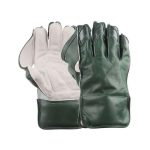 Wicket Keeping Gloves