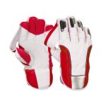 Wicket Keeping Gloves