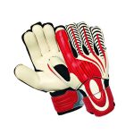 Goalkeeper Gloves